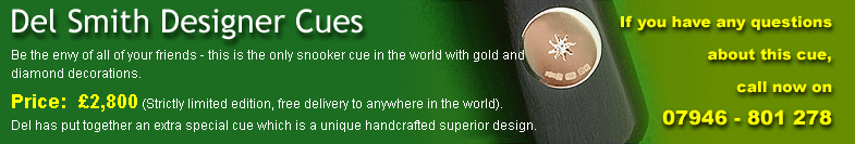 Del Smith Designer Cue